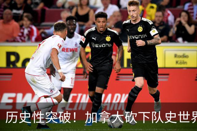 历史性突破！加拿大砍下队史世界杯第1分 此前6战全败